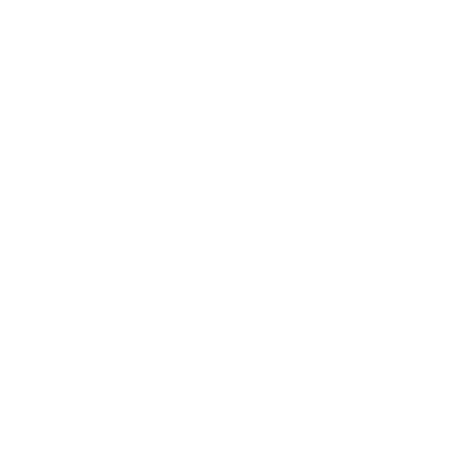 SSS Car Company